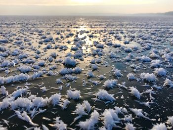 Scenic view of sea against sky during winter