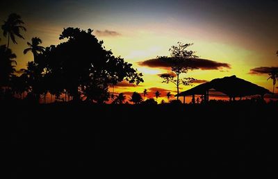 Silhouette of trees at sunset