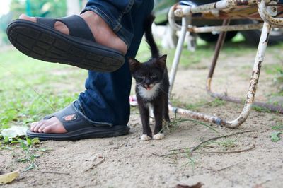 Low section of man wearing shoes