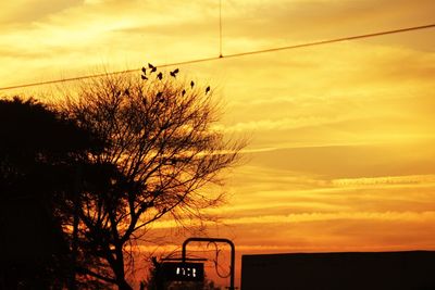 Silhouette tree against sky during sunset