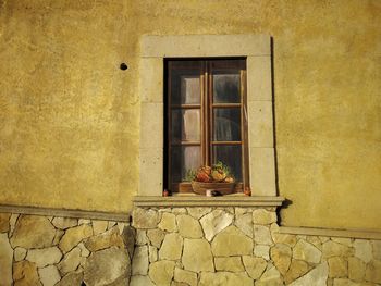 Potted plants on window of house