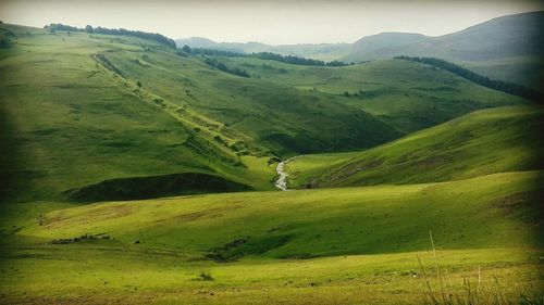 Scenic view of landscape