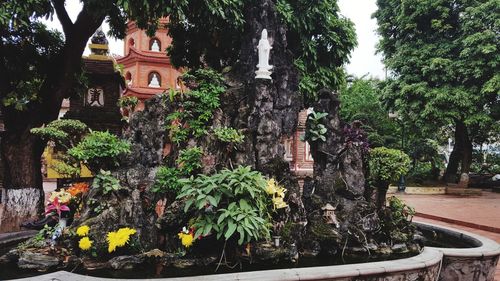 Statue by trees against plants