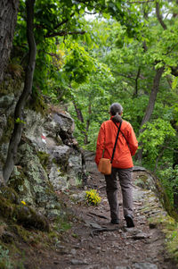 The varied route over the vogelbergsteig to the historic dürnstein castle ruins.