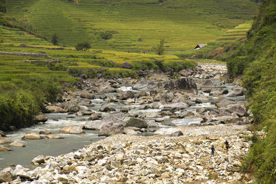 Scenic view of landscape