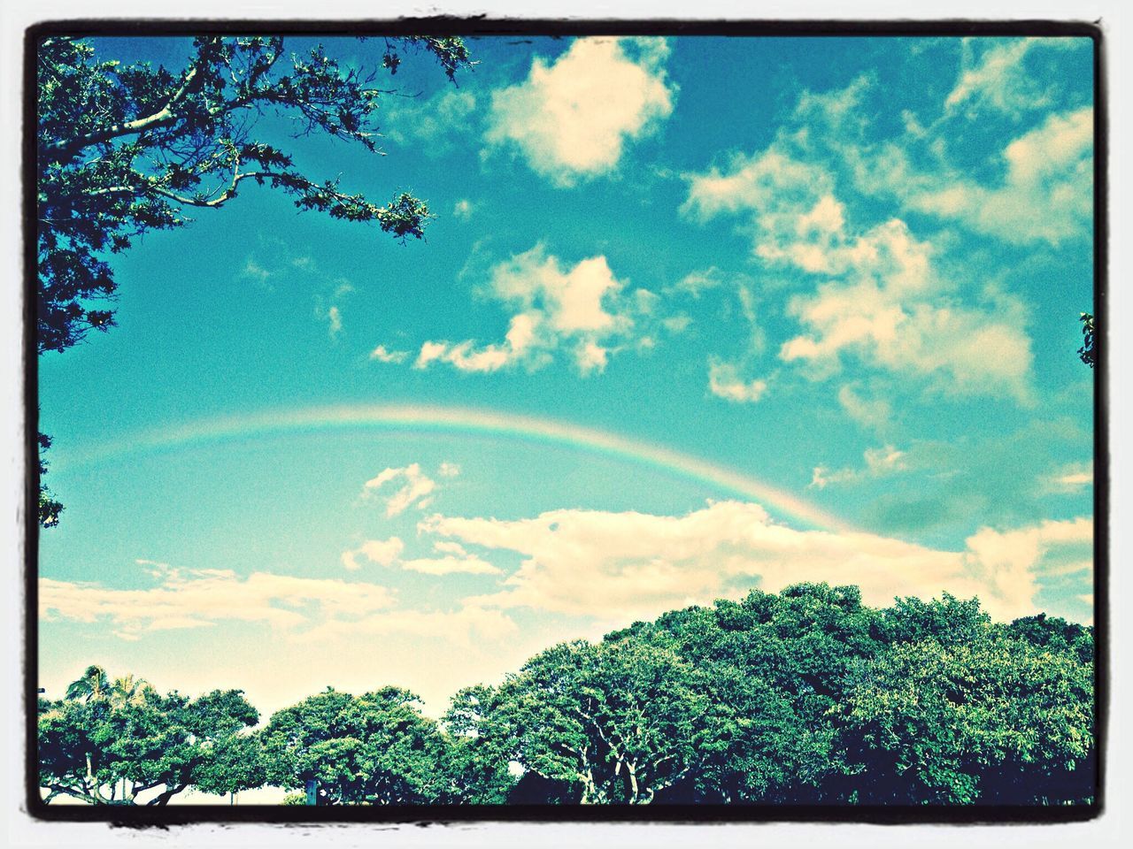 Ala Moana Beach Park