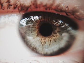 Extreme close up of human eye