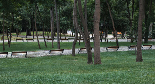 Park bench on field