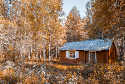 House amidst trees and plants in forest during autumn