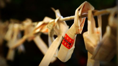 Close-up of omikuji hanging on string at temple