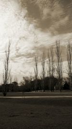 Bare trees on field against sky