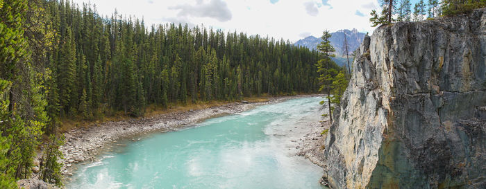 Panoramic shot of river amidst trees in forest against sky