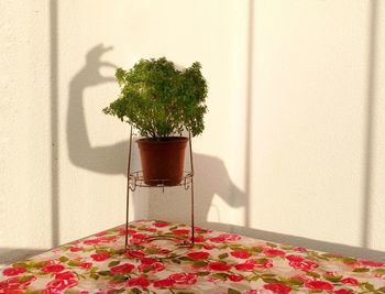 Potted plant on table against wall