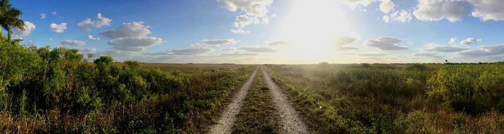 Panoramic shot of dirt road amidst field against sky