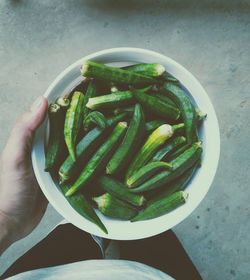 Directly above shot of person holding salad