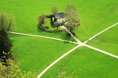 Scenic view of grassy field against sky