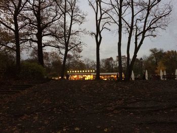 Bare trees during autumn against sky