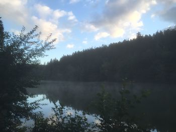 Reflection of trees in lake