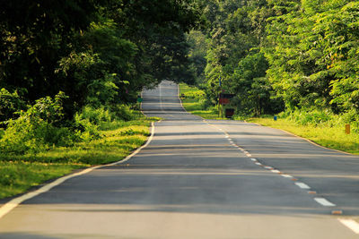 Road amidst trees in forest