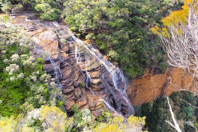 View of rock formations in forest