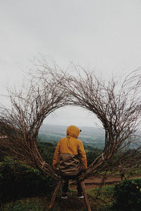 Rear view of man sitting on bare tree