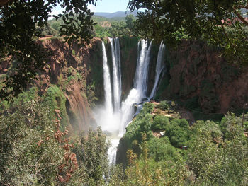 Scenic view of waterfall in forest