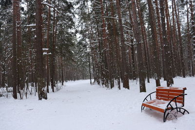 Trees on snow covered field during winter
