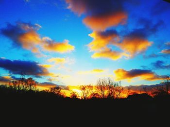 Silhouette of trees at sunset