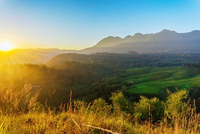 Scenic view of landscape against clear sky during sunset