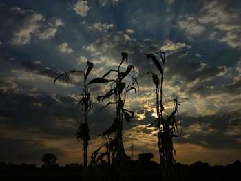 Low angle view of cloudy sky