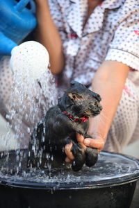 Midsection of woman with dog