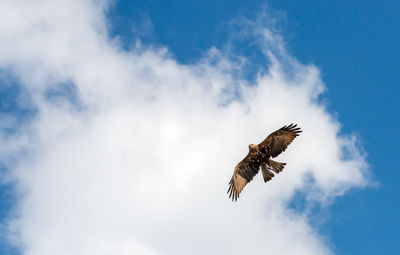 sky