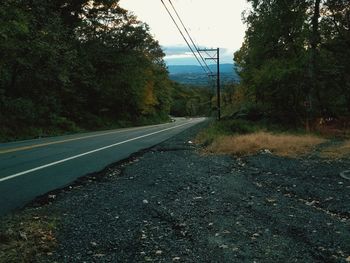 Empty road along trees and plants