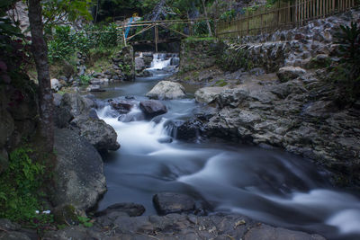 Scenic view of waterfall in forest