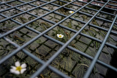 Close up of fence