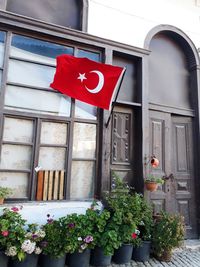 Red flower pot on window of building