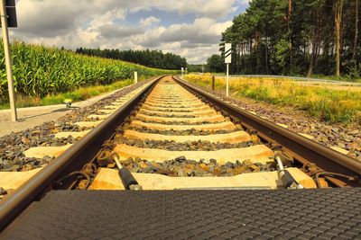 Railroad track amidst trees against sky