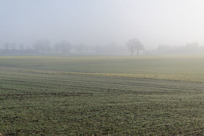 Scenic view of field against sky during foggy weather