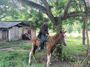 Dog standing on grass