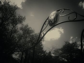 Low angle view of tree against sky