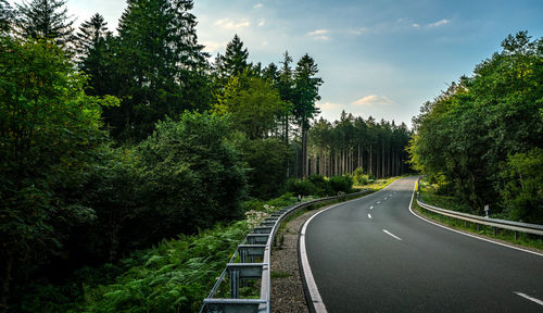 Road amidst trees against sky