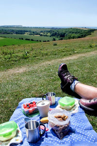 Low section of man sitting by blanket on grassy field against clear sky