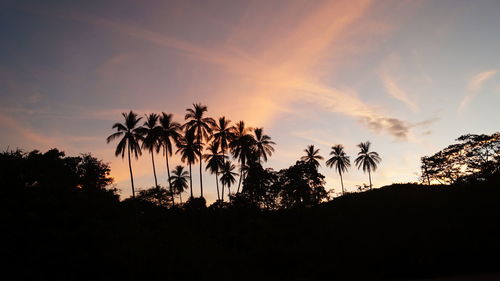 Silhouette trees against sky during sunset