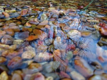 Rocks in sea