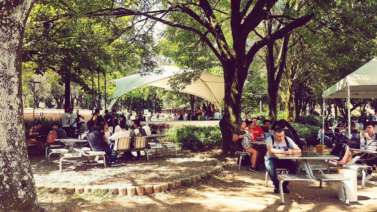 PEOPLE RELAXING IN SWIMMING POOL BY TREES