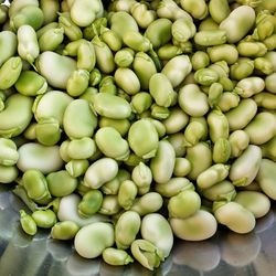 Close-up of green seeds