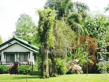 Trees by house against sky