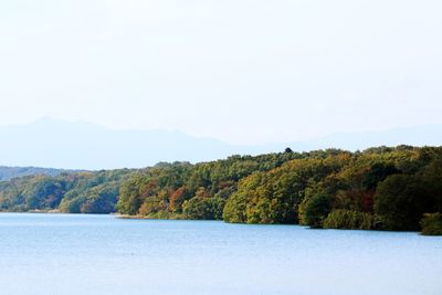 Scenic view of lake by trees against sky