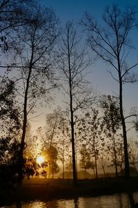 Silhouette bare trees on landscape against sky