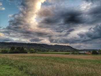 Scenic view of field against sky